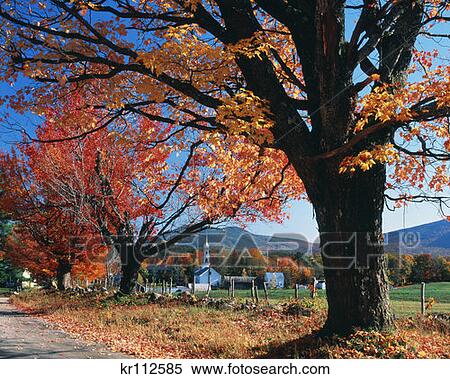Tamworth Nh Autumn View Large Photo Image Stock Photography - Tamworth Nh Autumn . Fotosearch