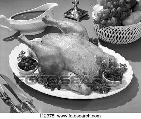 Thanksgiving Turkey Retro View Large Photo Image Stock Photography - Thanksgiving Turkey Retro. Fotosearch