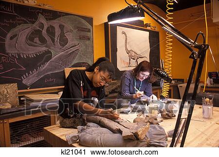 Stock Image - Two Students Working In Dinosaur Lab At Academy Of Natural Sciences Philadelphia Pa . Fotosearch