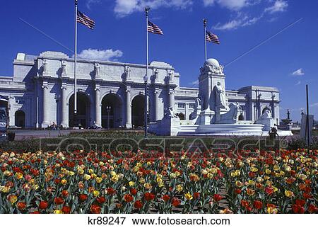 Union Station In Spring Tulips In Foreground Washington, Dc View Large Photo Image Stock Photo - Union Station In Spring Tulips In Foreground Washington, Dc. Fotosearch