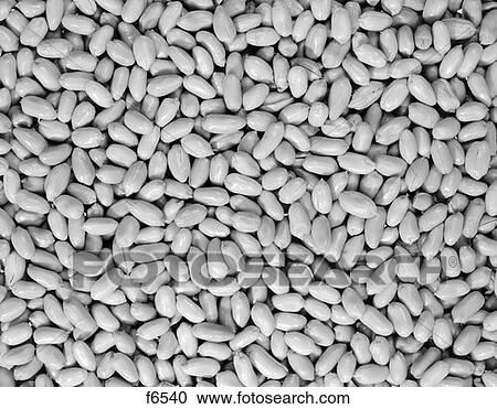 Unsalted Peanuts Retro View Large Photo Image Stock Image - Unsalted Peanuts Retro. Fotosearch