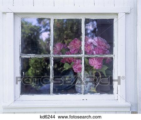 Picture - Vase Pink Peonies Through Old Window. Fotosearch