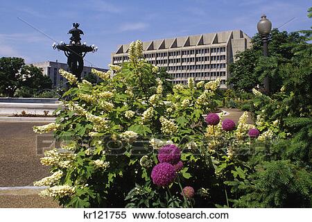 Washington, Dc Bartholdi Fountain In Bartholdi Park Botanic Garden View Large Photo Image Stock Photography - Washington, Dc Bartholdi Fountain In Bartholdi Park Botanic Garden. Fotosearch