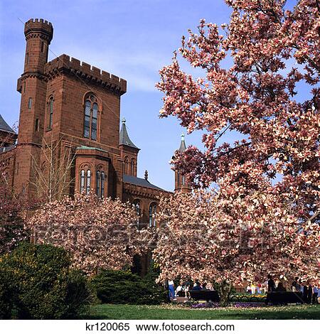 Stock Photography - Washington, Dc Smithsonian Institution Spring. Fotosearch