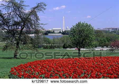 Washington Dc View Of Capitol Building Lincoln And Washington Monuments View Large Photo Image Stock Photo - Washington Dc View Of Capitol Building Lincoln And Washington Monuments . Fotosearch