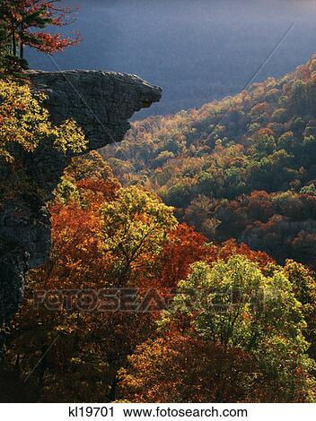 Stock Image - Whitaker Point, Upper Buffalo Wilderness Ozark National Forest Arkansas. Fotosearch