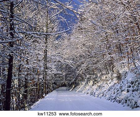 Stock Image - Winter Road Snow Covered Path Trees. Fotosearch