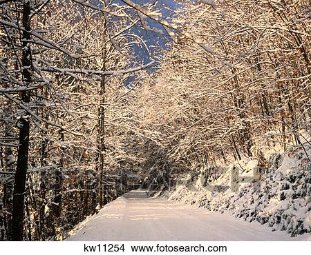 Winter Scene View Large Photo Image Picture - Winter Scene. Fotosearch