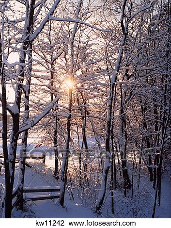 Winter Scene View Large Photo Image Stock Image - Winter Scene. Fotosearch