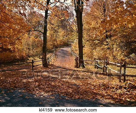 Wisconsin Autumn Trail Park Path View Large Photo Image Stock Photo - Wisconsin Autumn Trail Park Path. Fotosearch