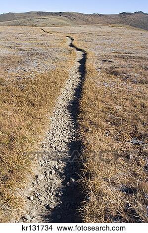 Worn Hiking Path Olympic National Park View Large Photo Image Picture - Worn Hiking Path Olympic National Park . Fotosearch