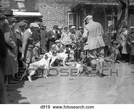 1920S 1930S Hunting Dogs And Owners Assembled For Field Trials In Front Of Brick Building View Large Photo Image Stock Photo - 1920S 1930S Hunting Dogs And Owners Assembled For Field Trials In Front Of Brick Building . Fotosearch