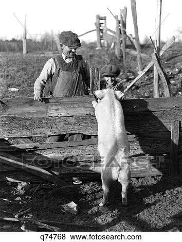 Stock Photo - 1920S 1930S White Hog Pig Standing Up Against Fence To Greet Farmer And Boy Retro . Fotosearch