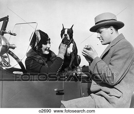 1920S Woman Sitting In Driver'S Seat Of Convertible With Boxer Dog On Seat View Large Photo Image Stock Image - 1920S Woman Sitting In Driver'S Seat Of Convertible With Boxer Dog On Seat . Fotosearch