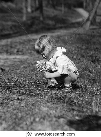 1930 1930S Girl Toddler Picking Flowers Wildflowers In Meadow Summer Girls Toddlers Retro View Large Photo Image Stock Photo - 1930 1930S Girl Toddler Picking Flowers Wildflowers In Meadow Summer Girls Toddlers Retro . Fotosearch