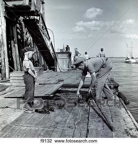 1930 1930S Little Boy Watching Fisherman Unloading Lobsters From Net On Dock In New Harbor Landing Maine View Large Photo Image Stock Image - 1930 1930S Little Boy Watching Fisherman Unloading Lobsters From Net On Dock In New Harbor Landing Maine. Fotosearch