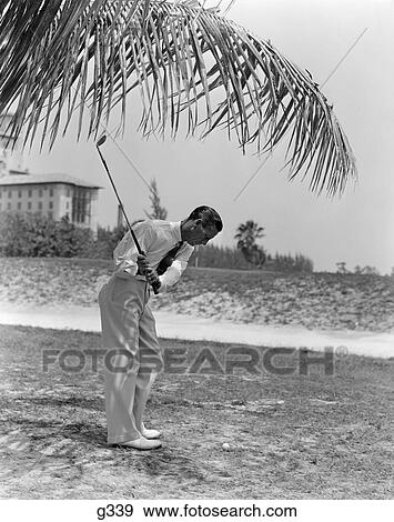 1930 1930S Man Playing Golf Golfing Tie Swinging Club Palm Tree Sport Sports Men Vacation Travel Florida Retro View Large Photo Image Stock Photo - 1930 1930S Man Playing Golf Golfing Tie Swinging Club Palm Tree Sport Sports Men Vacation Travel Florida Retro . Fotosearch