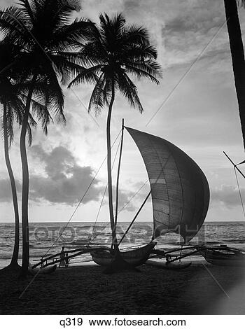 Stock Photo - 1930 1930S Single Catamaran On Tropical Beach At Sunset Plam Trees Sri Lanka Retro Rrr . Fotosearch