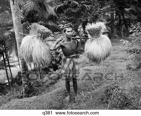 1930S Balinese Man With Stick Yoke Over Shoulders Carrying Two Bunches Of Harvested Rice View Large Photo Image Stock Image - 1930S Balinese Man With Stick Yoke Over Shoulders Carrying Two Bunches Of Harvested Rice . Fotosearch
