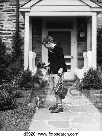 1930S Boy On Sidewalk Shaking Hands With Collie Dog As He Leaves For School View Large Photo Image Stock Image - 1930S Boy On Sidewalk Shaking Hands With Collie Dog As He Leaves For School. Fotosearch
