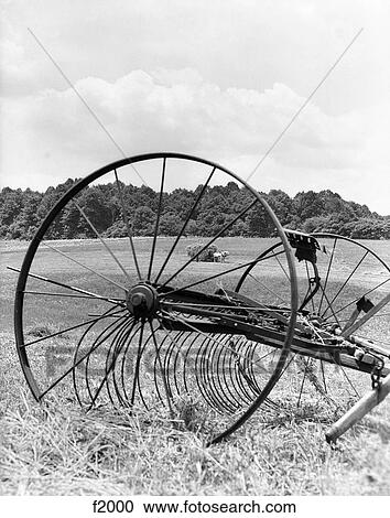 1930S Closeup Of Idle Hayer Team Of Horses Hauling Load Of Hay In Background View Large Photo Image Stock Image - 1930S Closeup Of Idle Hayer Team Of Horses Hauling Load Of Hay In Background . Fotosearch