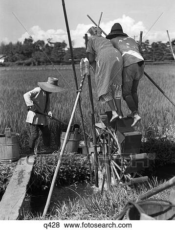 1930S Irrigating Rice Field Near Osaka Two Wokers Treading Water Wheel Farmer Working Buckets Irrigation Farm Agriculture View Large Photo Image Stock Photo - 1930S Irrigating Rice Field Near Osaka Two Wokers Treading Water Wheel Farmer Working Buckets Irrigation Farm Agriculture. Fotosearch
