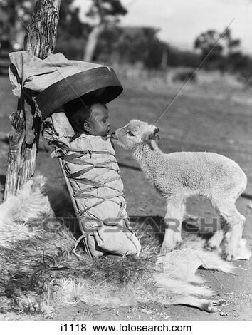 1930S Lamb Approaching Navajo Baby In Papoose On woman Board View Large Photo Image Stock Photo - 1930S Lamb Approaching Navajo Baby In Papoose On woman Board . Fotosearch