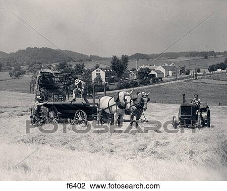 1930S Pair Of Men Dumping Hay Off Of Back Of Wagon Drawn By Two Horses With Man On Tractor Riding Past Them View Large Photo Image Stock Image - 1930S Pair Of Men Dumping Hay Off Of Back Of Wagon Drawn By Two Horses With Man On Tractor Riding Past Them . Fotosearch