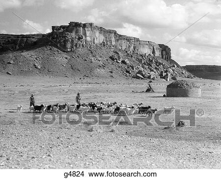 Picture - 1930S Pair Of Navajo Indians Driving Goats Home With Mud Hut & Mountains In Background . Fotosearch