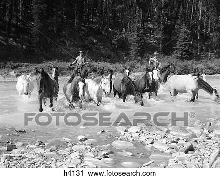 Stock Image - 1930S Two Cowboys Herding Horses Through Rocky Stream Mustangs Wild Horses Round Up Brazeau River Alberta Canada . Fotosearch
