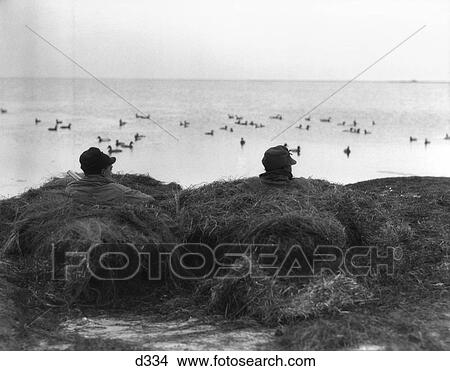 Picture - 1930S Two Men Camoflauged In Duck Blind Hunting . Fotosearch
