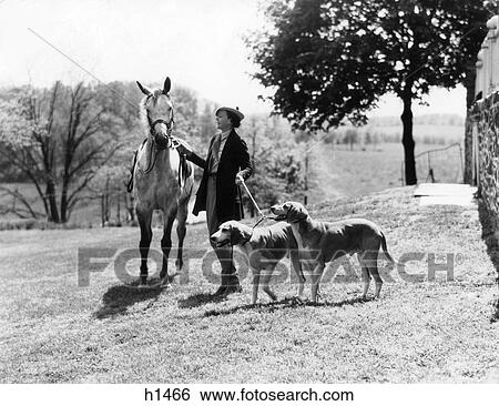 Stock Photograph - 1930S Woman Standing Next To Horse Holding Two Dogs On A Leash Fashion Wealth Upscale Country Estate . Fotosearch