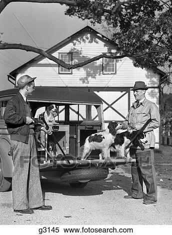1940 1940S Two Men Holding Shotguns At Rear Of A Station Wagon With Spaniel Hunting Dogs Onboard View Large Photo Image Stock Photography - 1940 1940S Two Men Holding Shotguns At Rear Of A Station Wagon With Spaniel Hunting Dogs Onboard. Fotosearch