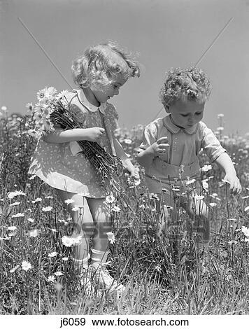 1940S Boy & Girl Picking Daisies View Large Photo Image Stock Photo - 1940S Boy & Girl Picking Daisies . Fotosearch