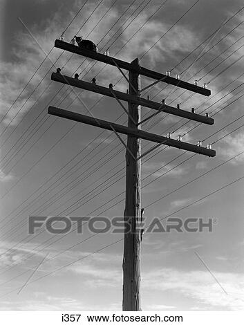 1940S Cat Sitting On A Powerline Telephone Pole Stranded Alone Outdoor Small Feline Animal 1930S 1950S View Large Photo Image Stock Photo - 1940S Cat Sitting On A Powerline Telephone Pole Stranded Alone Outdoor Small Feline Animal 1930S 1950S . Fotosearch