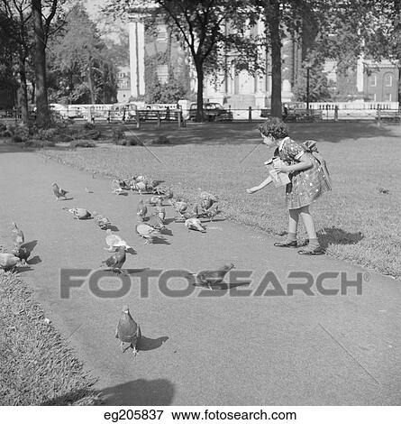 1940S Little Girl Feeding Pigeons In Public Park View Large Photo Image Stock Photo - 1940S Little Girl Feeding Pigeons In Public Park. Fotosearch