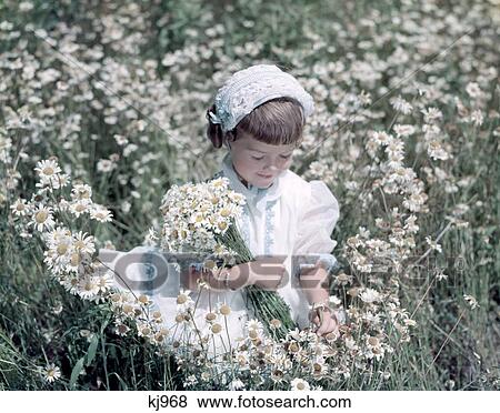 1950S 1960S Little Girl In White Hat And Dress Picking Wildflowers Daises Sitting In A Wild Flower Daisy Field View Large Photo Image Stock Photo - 1950S 1960S Little Girl In White Hat And Dress Picking Wildflowers Daises Sitting In A Wild Flower Daisy Field. Fotosearch