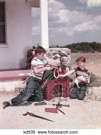 1950S 2 Boys In Backyard Building Dog House For Puppy Carpenter Tools Putting Horseshoe Above The Door View Large Photo Image Stock Photo - 1950S 2 Boys In Backyard Building Dog House For Puppy Carpenter Tools Putting Horseshoe Above The Door . Fotosearch