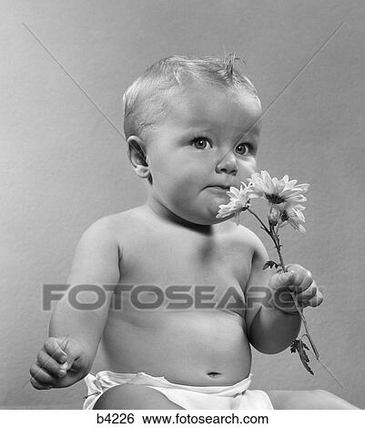 1950S Baby Sitting Full Figure Holding Smell Smelling Flowers Daisy Aroma Odor Fragrance Sniff Whiff Diaper Retro View Large Photo Image Stock Photograph - 1950S Baby Sitting Full Figure Holding Smell Smelling Flowers Daisy Aroma Odor Fragrance Sniff Whiff Diaper Retro . Fotosearch