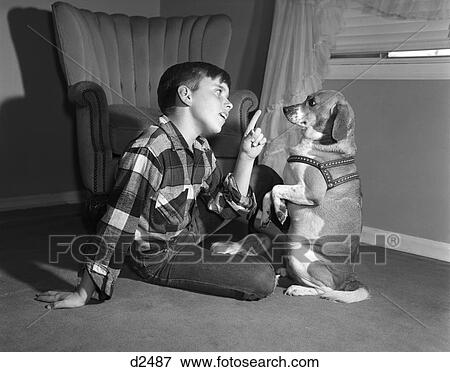 Stock Photo - 1950S Boy In Plaid Shirt Shaking Finger At Dog Sitting Up On Rear Legs . Fotosearch