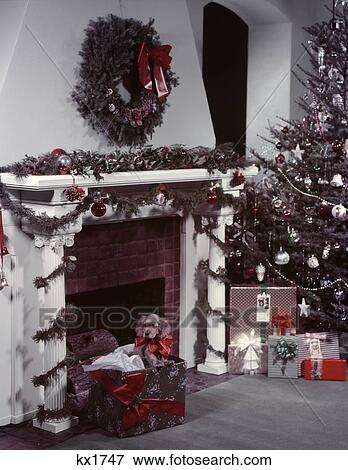 1950s Christmas Fireplace Cocker Spaniel Dog Puppy In Gift Box