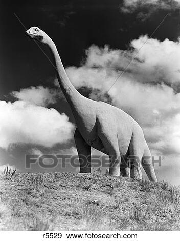 1950S Dinosaur Park South Dakota Statue Large Brontosaurus On Hilltop Extinct Jurassic Long Neck Gigantic Tourist Attraction View Large Photo Image Stock Photo - 1950S Dinosaur Park South Dakota Statue Large Brontosaurus On Hilltop Extinct Jurassic Long Neck Gigantic Tourist Attraction. Fotosearch