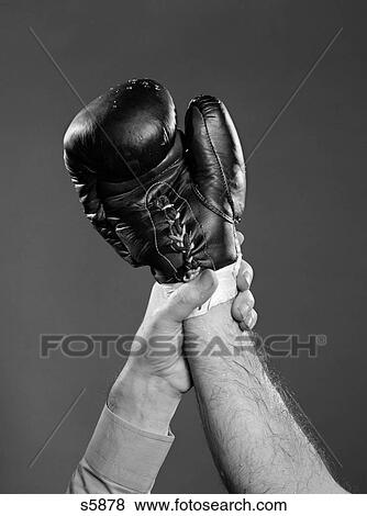 Stock Photo - 1950S Gloved Hand Of Winner Of Boxing Match Being Held Up By Referee . Fotosearch