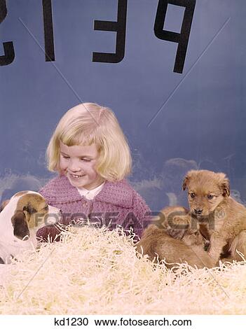 1950S Little Girl Looking In Pet Shop Window At Puppies For Sale Happy Adopt Hopeful Rescue Pet Doggie Puppy View Large Photo Image Stock Image - 1950S Little Girl Looking In Pet Shop Window At Puppies For Sale Happy Adopt Hopeful Rescue Pet Doggie Puppy . Fotosearch