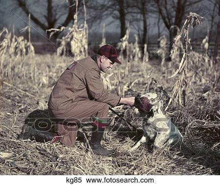 1950S Man Hunter Kneeling Corn Field Autumn With Dog Setter Holding Bird Fowl Pheasant In Mouth Hunting Autumn Shoot View Large Photo Image Stock Photography - 1950S Man Hunter Kneeling Corn Field Autumn With Dog Setter Holding Bird Fowl Pheasant In Mouth Hunting Autumn Shoot. Fotosearch