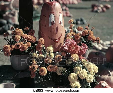 1950S Pumpkin With Painted Happy Face Surounded By Orange & White Flowers Chrysanthemums Mums Autumn Farm Market View Large Photo Image Stock Image - 1950S Pumpkin With Painted Happy Face Surounded By Orange & White Flowers Chrysanthemums Mums Autumn Farm Market. Fotosearch