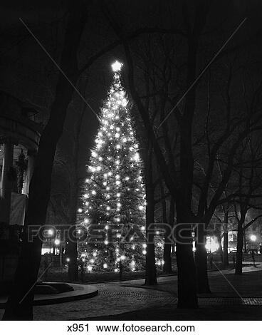 Stock Image - 1950S Tall Christmas Tree Lit Up In Middle Of Town Square . Fotosearch