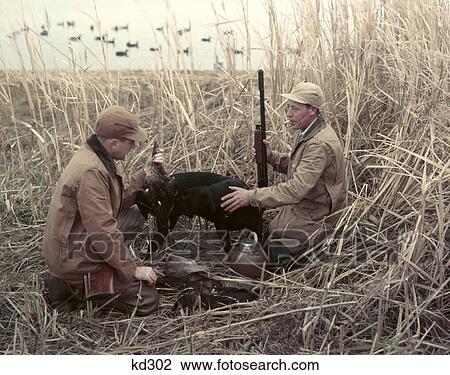 1950S Two Men Black Dog Retriever In Tall Grass Reeds At Edge Of Lake Duck Decoys Autumn Water Fowl Sport View Large Photo Image Stock Image - 1950S Two Men Black Dog Retriever In Tall Grass Reeds At Edge Of Lake Duck Decoys Autumn Water Fowl Sport. Fotosearch