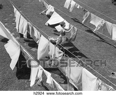 Picture - 1950S Woman Hanging Laundry Out To Dry Several Clotheslines Outdoor Fresh . Fotosearch