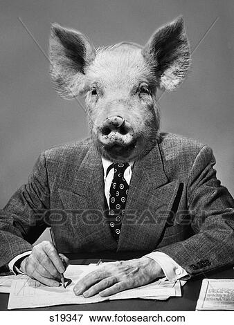 1970S Montage Of Businessman In Suit At Desk Wearing Pig'S Head View Large Photo Image Stock Photo - 1970S Montage Of Businessman In Suit At Desk Wearing Pig'S Head . Fotosearch